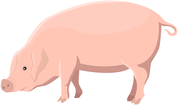 This png image - Pig Transparent Clip Art Image, is available for free download