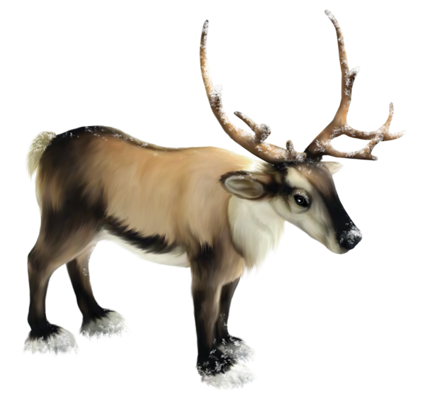 This png image - Reindeer PNG Clipart, is available for free download