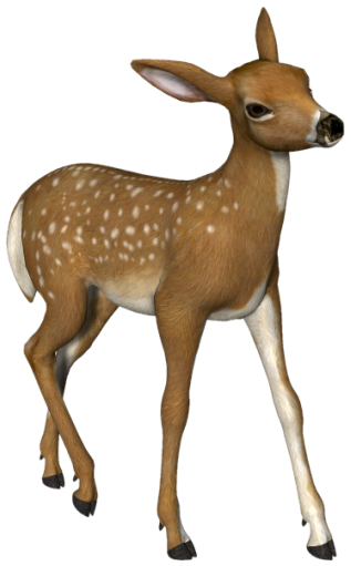This png image - Small Roe deer 3D PNG Picture, is available for free download