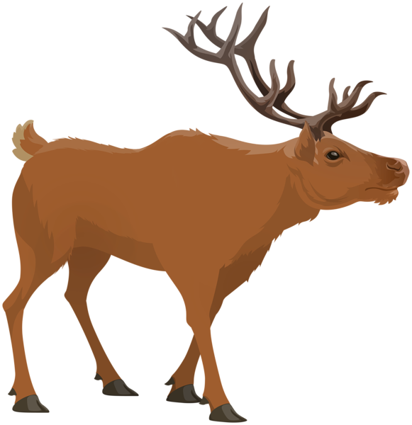 This png image - Stag PNG Clipart, is available for free download