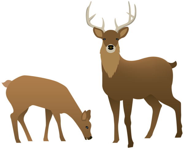 This png image - Stag and Doe Transparent PNG Image, is available for free download