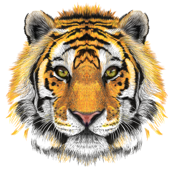 This png image - Tiger Head Transparent Clip Art Image, is available for free download