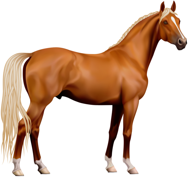 This png image - Transparent Horse PNG Clipart, is available for free download