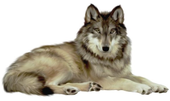 This png image - Transparent Wolf Clipart, is available for free download