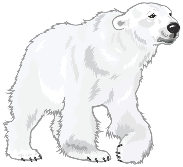 This png image - White Bear PNG Clipart Image, is available for free download