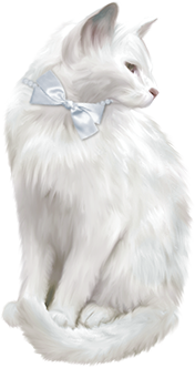 This png image - White Cat Clipart, is available for free download