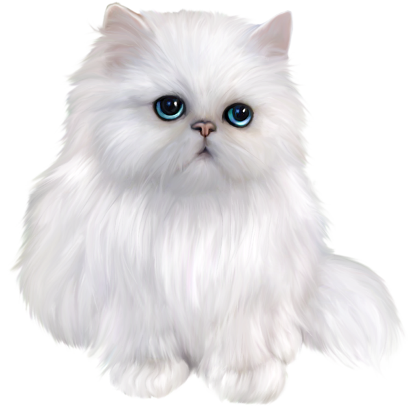 This png image - White Persian Cat Clipart, is available for free download