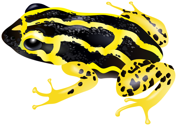 This png image - Yellow Frog PNG Clipart, is available for free download