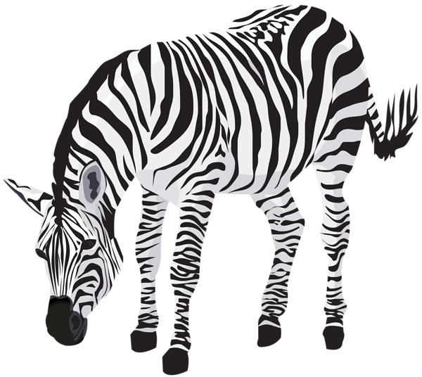 This png image - Zebra Clipart Image, is available for free download