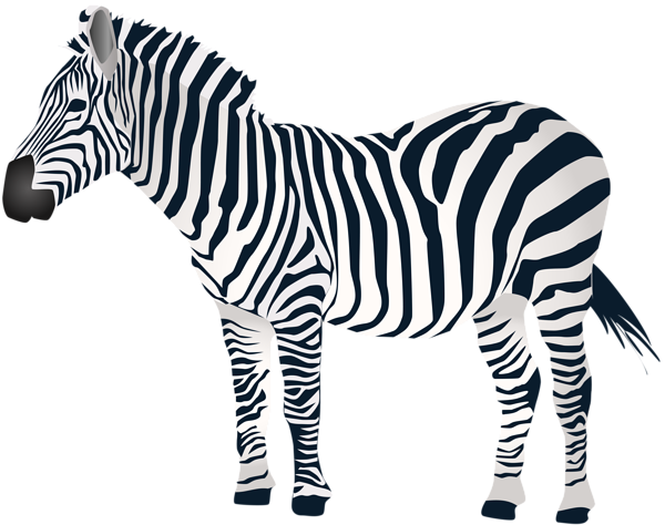 This png image - Zebra PNG Clip Art, is available for free download