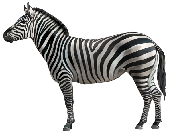 This png image - Zebra PNG Clipart Image, is available for free download