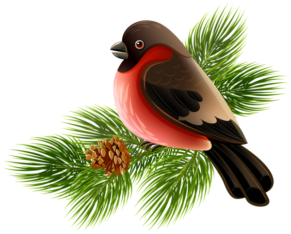 This png image - Bird and Pine Branch PNG Clipart Image, is available for free download