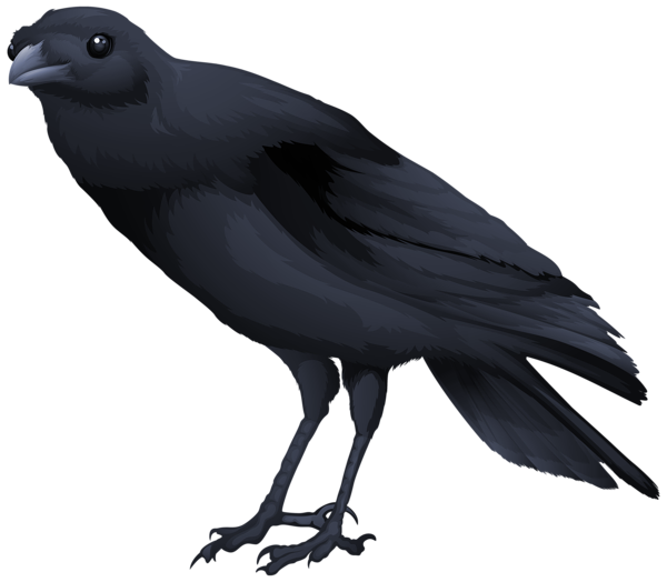 This png image - Black Bird PNG Clipart Image, is available for free download