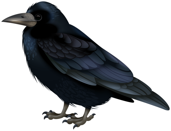 This png image - Black Crow Transparent Image, is available for free download