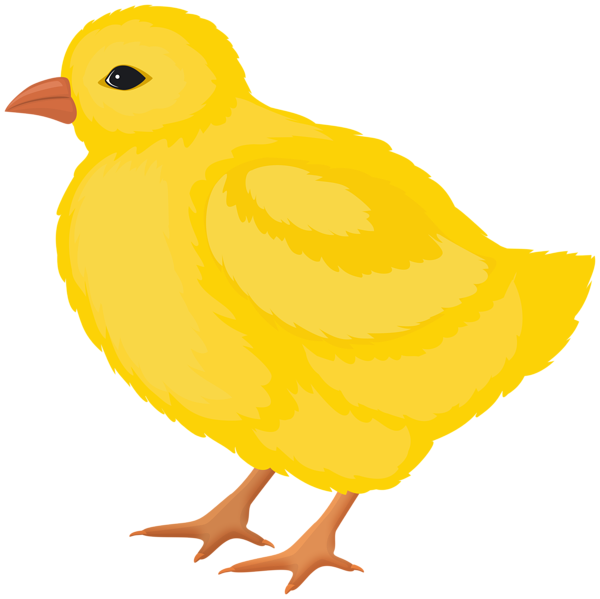 This png image - Chicken Transparent Image, is available for free download