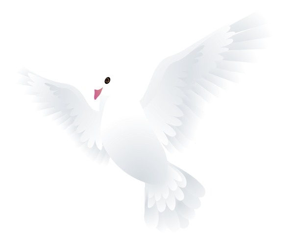 This png image - Dove Transparent PNG Clip Art Image, is available for free download