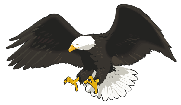 This png image - Eagle PNG PNG Clip Art Image, is available for free download