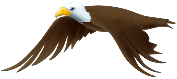 This png image - Eagle Transparent PNG Clip Art Image, is available for free download
