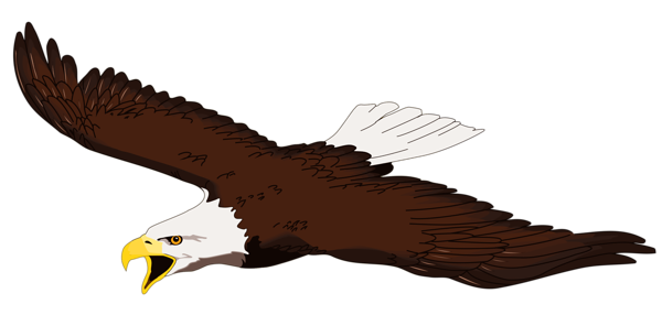 This png image - Eagle Transparent PNG Clipart, is available for free download