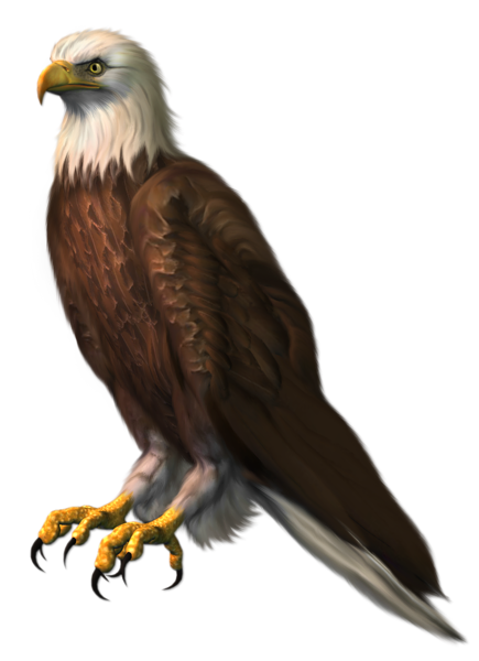 This png image - Eagle Transparent PNG Clipart Picture, is available for free download