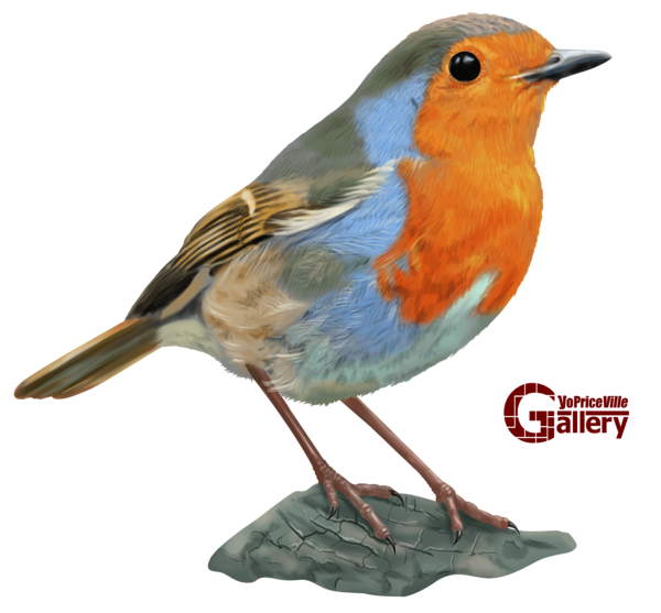 This png image - European Robin Bird Hand Drawn PNG Clipart, is available for free download