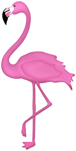 This png image - Flamingo Bird Transparent Image, is available for free download
