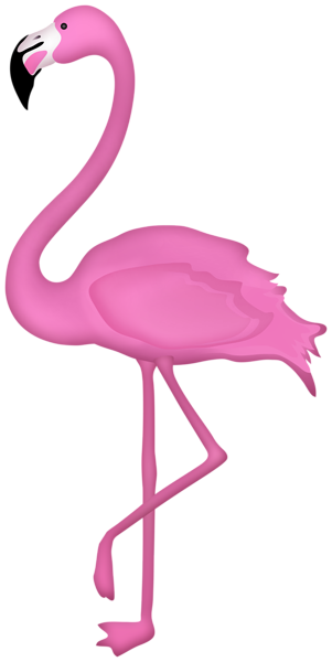 Flamingo Bird Transparent Image | Gallery Yopriceville - High-Quality