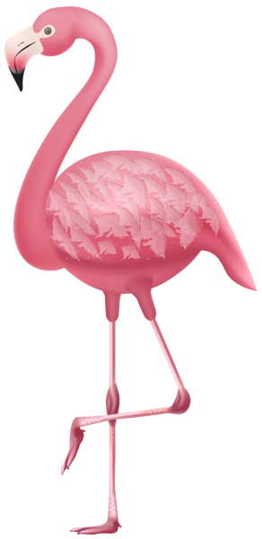 Flamingo PNG Clipart | Gallery Yopriceville - High-Quality Free Images