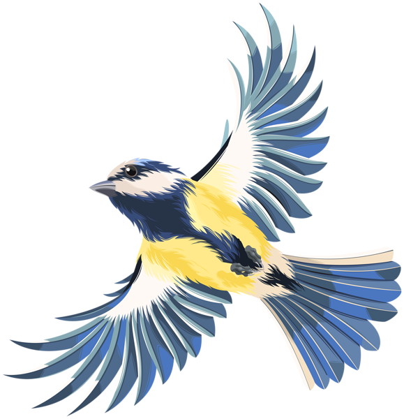 This png image - Flying Bird Transparent PNG Clip Art Image, is available for free download