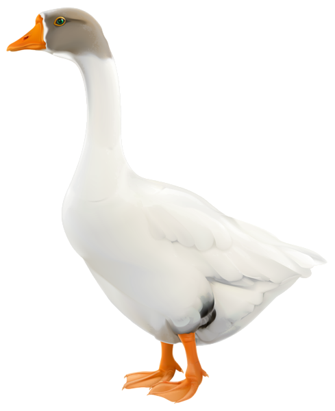 This png image - Goose PNG Clip Art Image, is available for free download