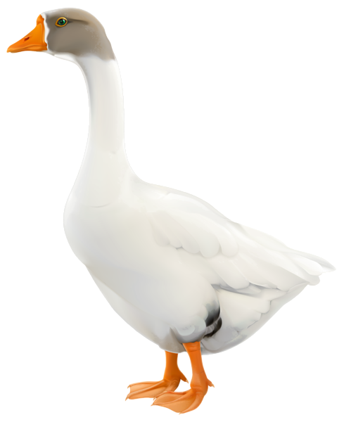 Goose PNG Clip Art Image | Gallery Yopriceville - High-Quality Images