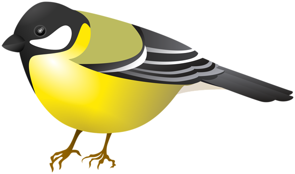 This png image - Great Tit Bird PNG Clipart, is available for free download