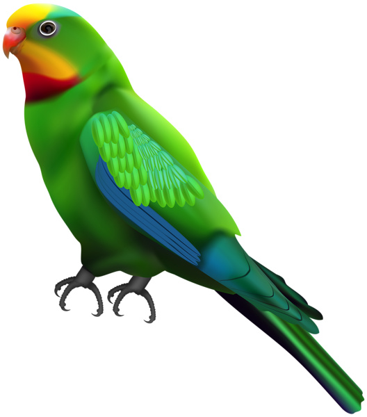 This png image - Green Parrot Transparent Clip Art Image, is available for free download