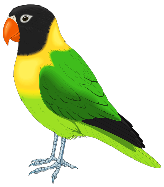 This png image - Green and Yellow Bird PNG Clipart Image, is available for free download