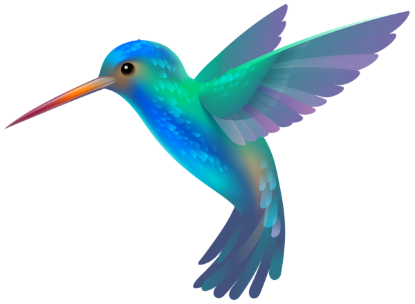 This png image - Hummingbird PNG Transparent Clip Art Image, is available for free download