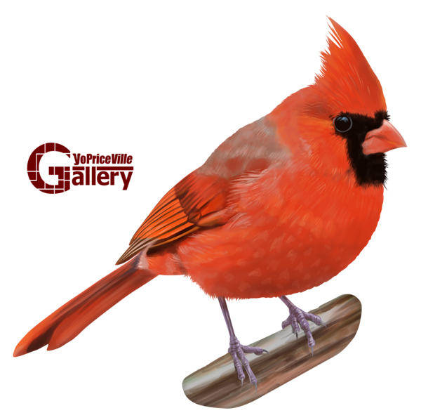 This png image - Northern Cardinal Bird Hand Drawn PNG Clipart, is available for free download