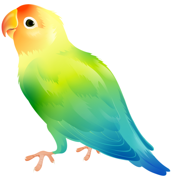 This png image - Parrot Bird PNG Clip Art Image, is available for free download