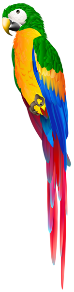 This png image - Parrot Green PNG Clip Art Image, is available for free download
