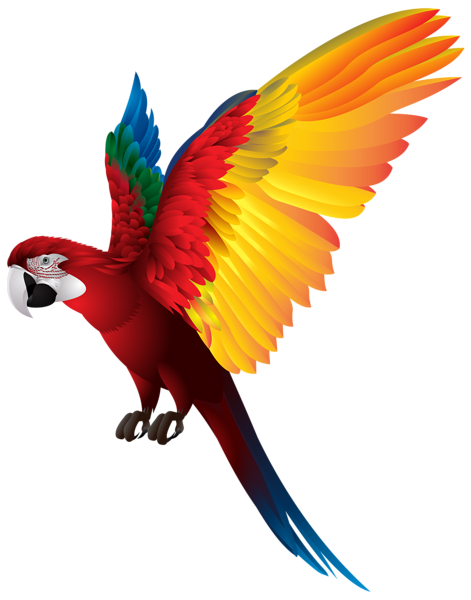 This png image - Parrot PNG Transparent Clip Art Image, is available for free download
