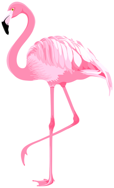 Pink Flamingo PNG Clipart | Gallery Yopriceville - High-Quality Images