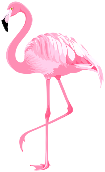 This png image - Pink Flamingo PNG Clipart, is available for free download