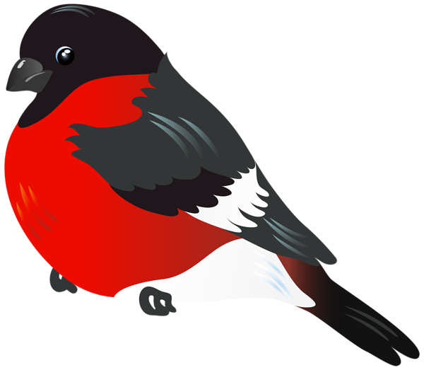 This png image - Red Bird PNG Clipart Image, is available for free download