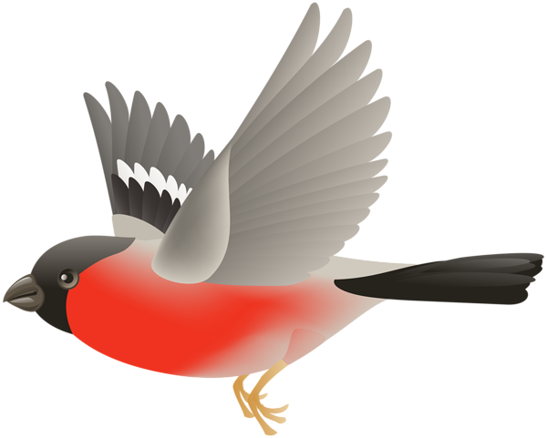 This png image - Red Flying Bird Transparent Clip Art Image, is available for free download