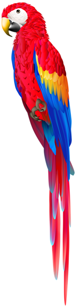 This png image - Red Parrot PNG Clip Art Image, is available for free download
