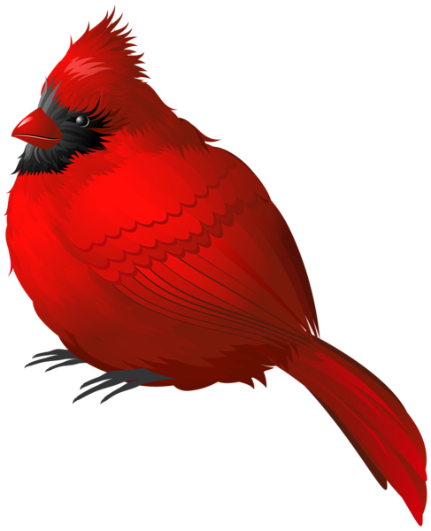 This png image - Red Winter Bird PNG Clipart Image, is available for free download