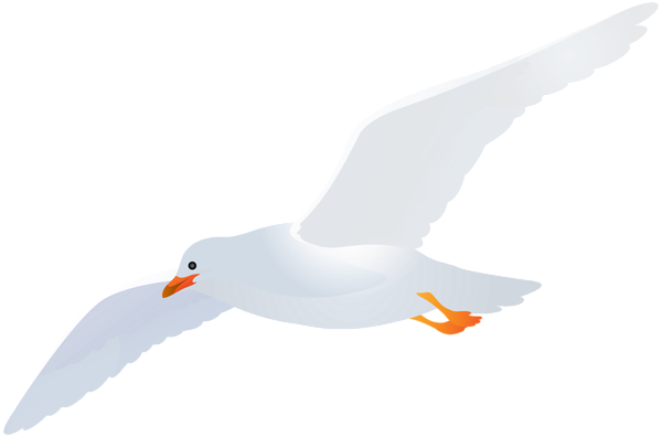 This png image - Seagull Transparent Clip Art Image, is available for free download