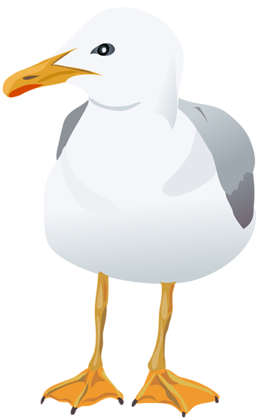 This png image - Seagull Transparent PNG Clip Art Image, is available for free download