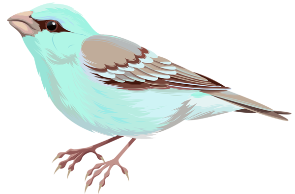This png image - Soft Deco Bird PNG Clip Art, is available for free download
