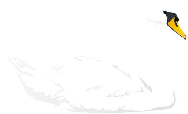 This png image - Swan Transparent PNG Clip Art Image, is available for free download