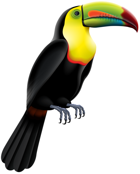 Toucan Bird PNG Clip Art Image | Gallery Yopriceville - High-Quality